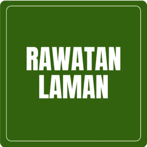 Pakej Rawatan Laman